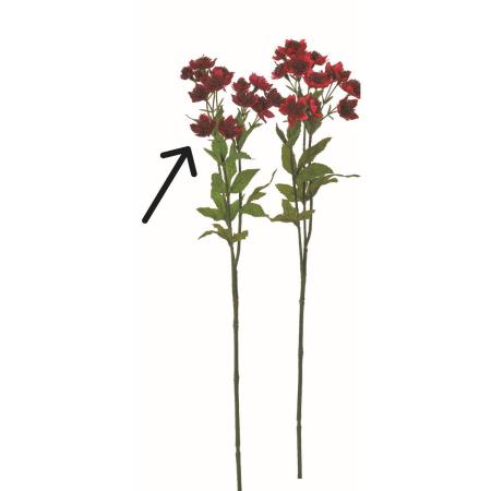 【造花】アスカ/アストランティア×14 #015A ワイン/A-35434-15A