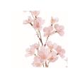 特価◎【造花】アスカ/桜×30 #001P ホワイトピンク/A-35499-1P