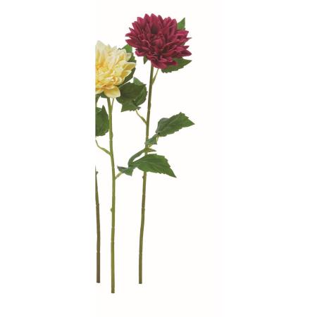 【造花】アスカ/ダリア #015A ワイン(ナチュラル加工)/A-35523-15A