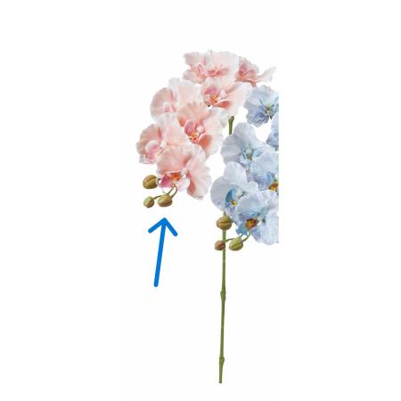 【造花】アスカ/コチョウラン×7 つぼみ×3 #004S ソフトピーチ/A-35514-4S