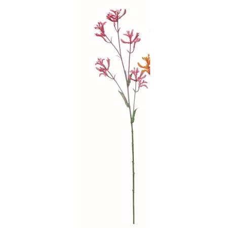 【造花】アスカ/カンガルーポー #022 ビューティ/A-35364-22