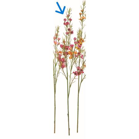 【造花】アスカ/ワックスフラワー×31 #026 フッシャ/A-35362-26