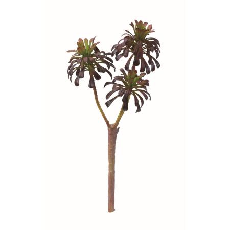 【造花】アスカ/アエオニウム #028G グリーンブラウン/A-44797-28G