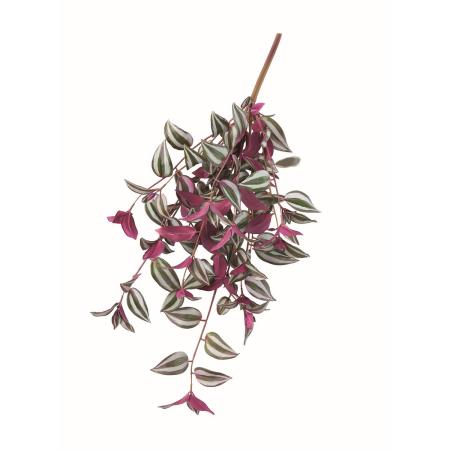 特価◎【造花】アスカ/トラディスカンティアハンギングブッシュ #053P グリーンパープル/A-44880-53P