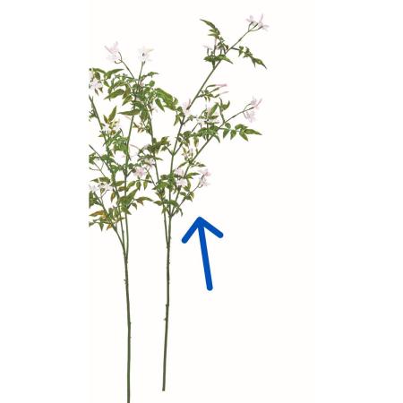 特価◎【造花】アスカ/ハゴロモジャスミン×24 つぼみ×21 #013 ライトピンク/A-35458-13