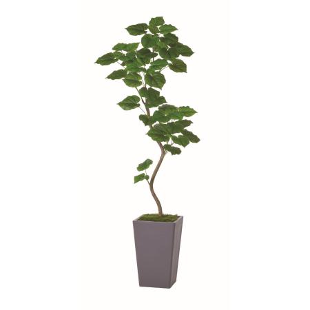 【直送】【人工観葉植物】アスカ/ウンベラータコンテナキット/A-51180-51A ※返品・代引・キャンセル不可