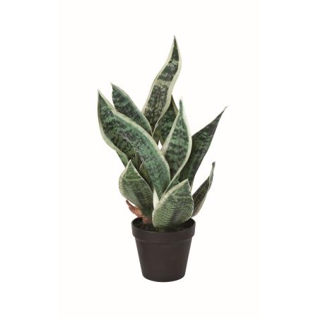 【人工観葉植物】アスカ/サンセベリア(ポット付) #051V ヴァリゲイトグリーン/A-51149-51V