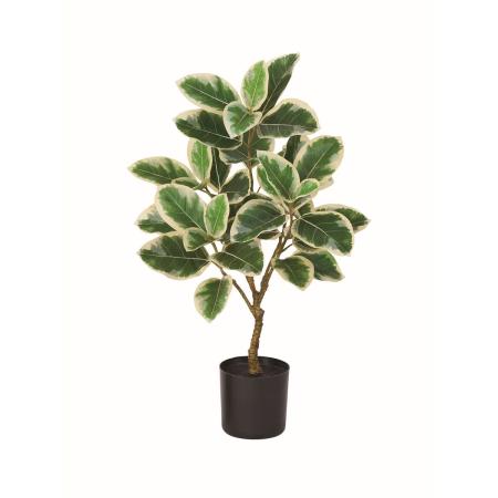 【人工観葉植物】アスカ/ゴムの木(ポット付) #053A クリームグリーン/A-51156-53A