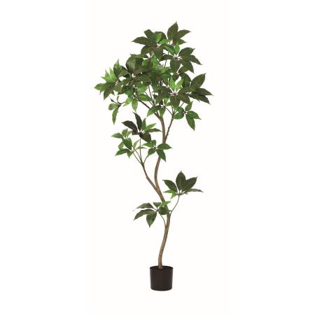 【直送】【人工観葉植物】アスカ/ツピタンサス(ポット付)/A-51168-51A ※返品・代引・キャンセル不可