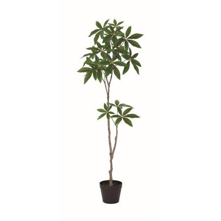 【人工観葉植物】アスカ/パキラ(ポット付) #051A グリーン/A-51166-51A