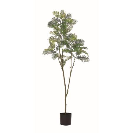 【直送】【人工観葉植物】アスカ/エバーフレッシュ(ポット付)/A-51173-51A ※返品・代引・キャンセル不可