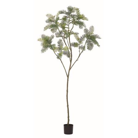 【直送】【人工観葉植物】アスカ/エバーフレッシュ(ポット付)/A-51174-51A ※返品・代引・キャンセル不可