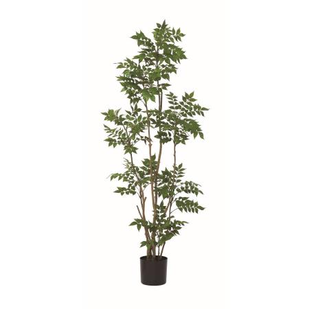 【直送】【人工観葉植物】アスカ/トネリコ(ポット付) /A-51171-51A ※返品・代引・キャンセル不可
