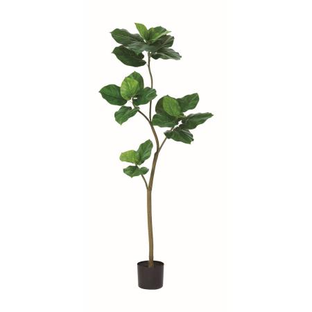 【人工観葉植物】アスカ/ウンベラータ(ポット付) #051A グリーン/A-51162-51A