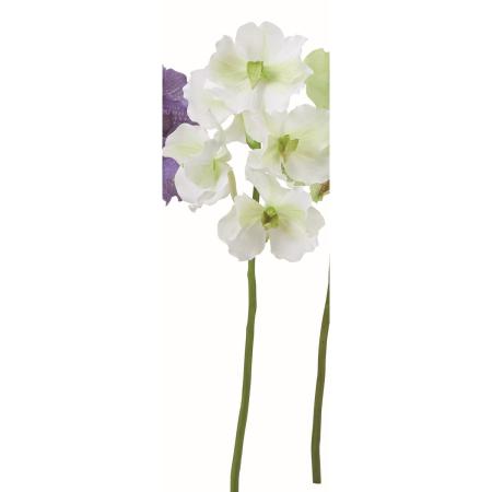 【造花】アスカ/バンダオーキッド×5 ホワイトグリーン/A-35651-52