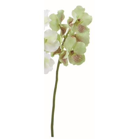 【造花】アスカ/バンダオーキッド×5 グリーンパープル/A-35651-53P