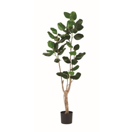 【直送】【人工観葉植物】アスカ/ゴムの木(ポット付) グリーン/A-51189-51A ※返品・代引・キャンセル・個人宅配送不可