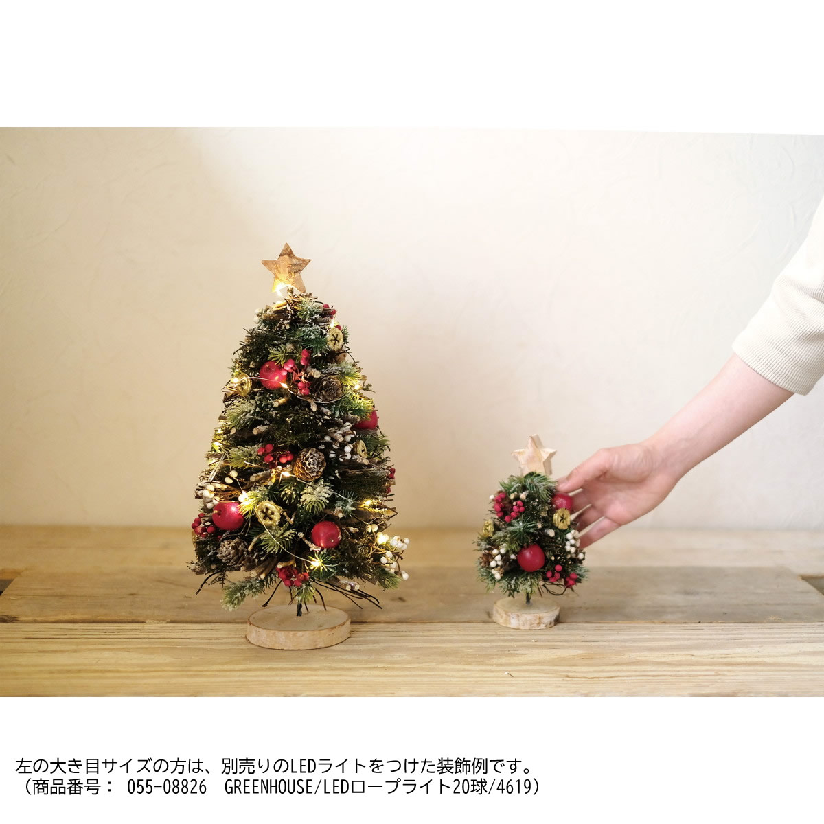 Greenhouse Cmミニチュアクリスマスツリー L レッド Cm1192 A Rd 通販 はなどんやアソシエ Greenhouse Cmミニチュアクリスマスツリー L レッド Cm1192 A Rd 通販 はなどんやアソシエ