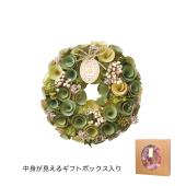 ドライ】GREENHOUSE/ワンカラーリース M グリーン/5237-B-GR - 花材