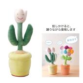 GREENHOUSE/おどるレインボーフラワー/5314 - 花材通販はなどん