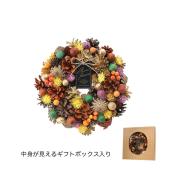 GREENHOUSE/HWナチュラルリース L オータムキャンディポット/HW652-A