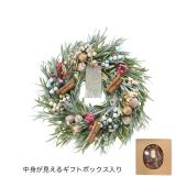 GREENHOUSE/CMナチュラルリースL シャビークリスマス/CM1642-A - 花材