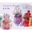 即日★GREENHOUSE/スリーピースピック ハート パールピンク/5436-PK