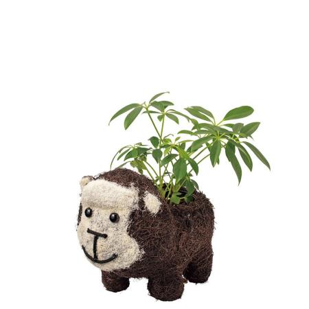 特価◎GREENHOUSE/ひだまりアニマルポット ゴリラ/5594