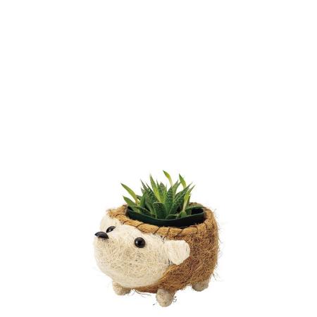 特価◎GREENHOUSE/ひだまりアニマルポット ハリネズミ/5589