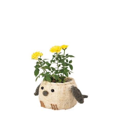 特価◎GREENHOUSE/ひだまりアニマルポット シマエナガ/5588