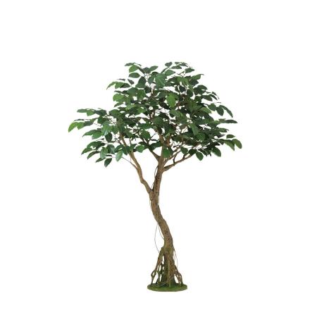 特価◎【直送】【人工観葉植物】東花/Stylish Green ベンガルボダイジュ コアッド/99366 ※返品・代引・キャンセル不可