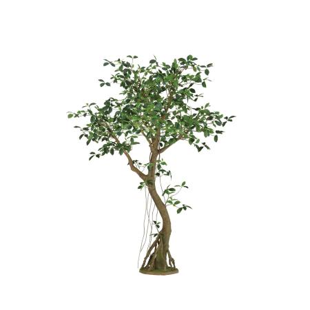 【直送】【人工観葉植物】東花/Stylish Green ガジュマル コアッド/99364 ※返品・代引・キャンセル不可