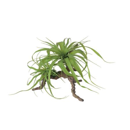 特価◎【直送】【人工観葉植物】東花/Stylish Green チランジア スタンプウッド/99527 ※返品・代引・キャンセル不可