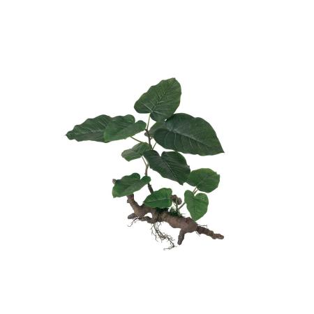 特価◎【直送】【人工観葉植物】東花/Stylish Green ウンベラータ スタンプウッド/99528 ※返品・代引・キャンセル不可