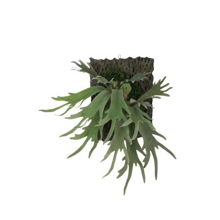 特価◎【直送】【人工観葉植物】東花/Stylish Green コウモリラン デコ/99557 ※返品・代引・キャンセル不可
