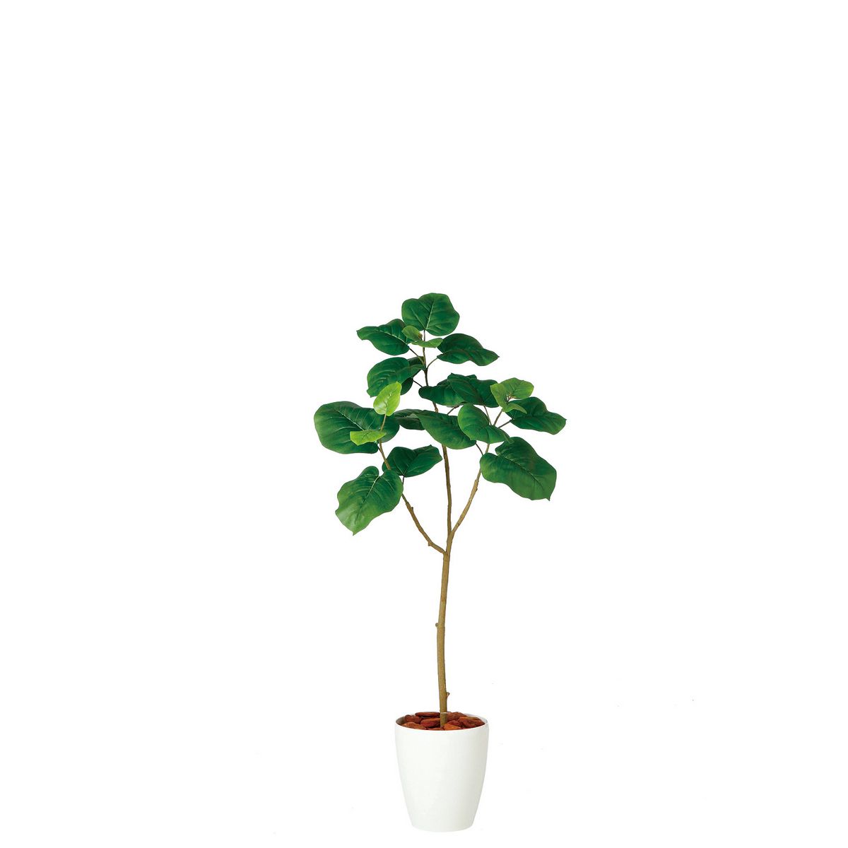 特価◎【直送】【人工観葉植物】東花/Stylish Green ウンベラータ FST