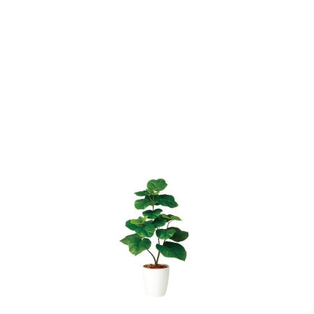 特価◎【直送】【人工観葉植物】東花/Stylish Green ウンベラータ/98923 ※返品・代引・キャンセル不可