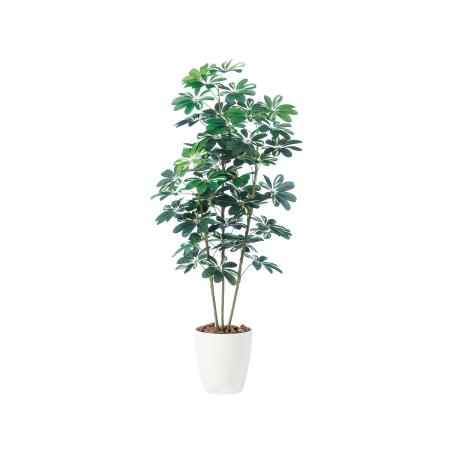 特価◎【直送】【人工観葉植物】東花/Stylish Green シェフレラ/98892 ※返品・代引・キャンセル不可
