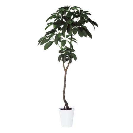 特価◎【直送】【人工観葉植物】東花/Stylish Green ブラッサイア/91882 ※返品・個人宅配送不可