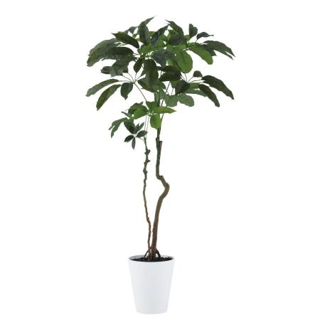特価◎【直送】【人工観葉植物】東花/Stylish Green ブラッサイア/91899 ※返品・代引・キャンセル不可