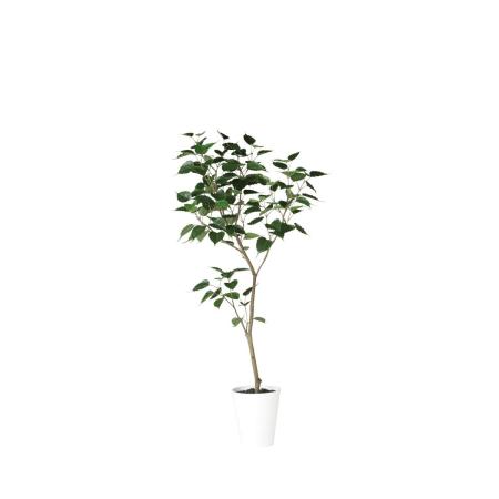 【直送】【人工観葉植物】東花/Stylish Green インドボダイジュ FST/91855 ※返品・代引・キャンセル不可