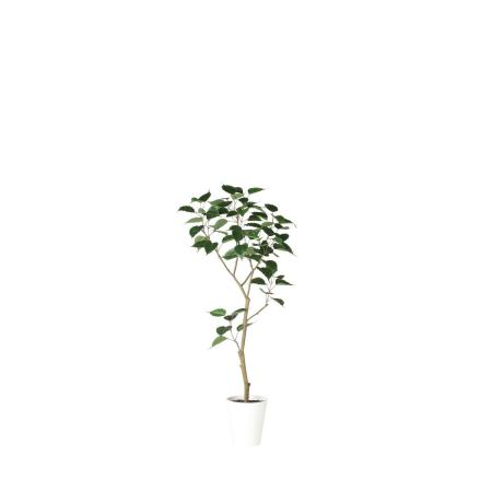 特価◎【直送】【人工観葉植物】東花/Stylish Green インドボダイジュ FST/91858 ※返品・代引・キャンセル不可