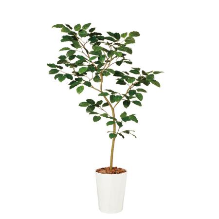 特価◎【直送】【人工観葉植物】東花/Stylish Green ベンガルボダイジュ FST/99114 ※返品・代引・キャンセル不可