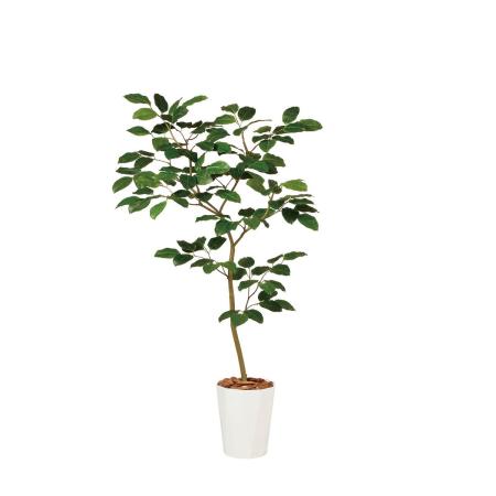 特価◎【直送】【人工観葉植物】東花/Stylish Green ベンガルボダイジュ FST/99116 ※返品・代引・キャンセル不可