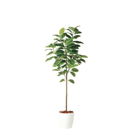 特価◎【直送】【人工観葉植物】東花/Stylish Green アルテシマ FST/98926 ※返品・個人宅配送不可