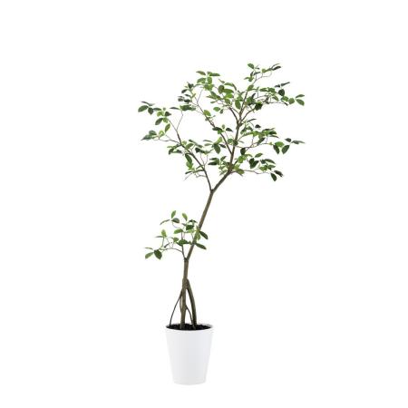特価◎【直送】【人工観葉植物】東花/Stylish Green ガジュマル FST/91810 ※返品・個人宅配送不可