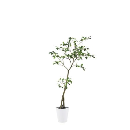 特価◎【直送】【人工観葉植物】東花/Stylish Green ガジュマル FST/91812 ※返品・代引・キャンセル不可