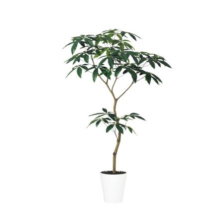 特価◎【直送】【人工観葉植物】東花/Stylish Green パキラ FST/99643 ※返品・代引・キャンセル不可