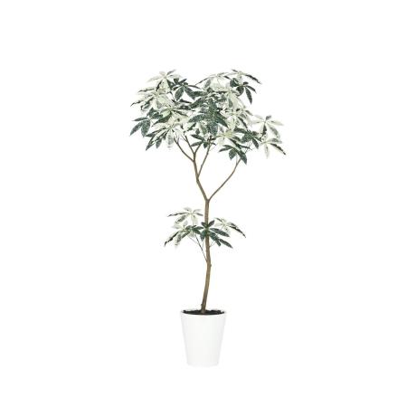 特価◎【直送】【人工観葉植物】東花/Stylish Green パキラ ミルキーウェイ FST/91860 ※返品・個人宅配送不可