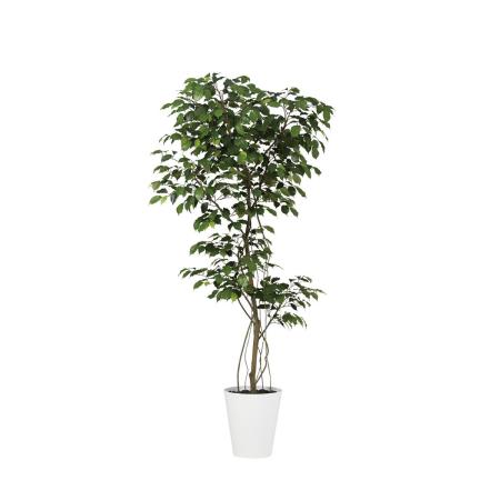 特価◎【直送】【人工観葉植物】東花/Stylish Green ベンジャミン FST/99382 ※返品・代引・キャンセル不可